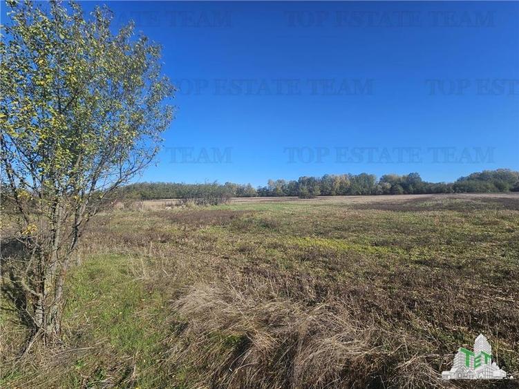 SUPER-PRET Teren 1ha intravilan intre A0, padure si raul Sabar - 4