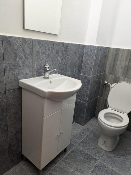 Proprietar, casa, curte, Cismigiu, de inchiriat - birouri. - 2