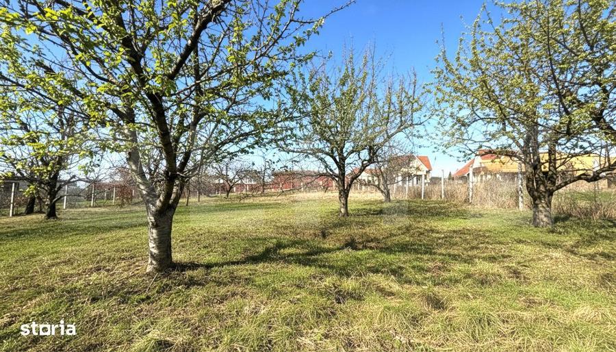 Teren cu dubla-deschidere, Paleu, 1000mp - 1