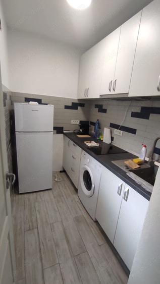 Apartament cu o camera Anina - 6