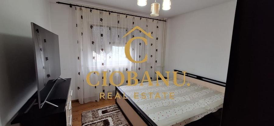 Apartament de inchiriat zona Craiovita Noua-Triaj - 14