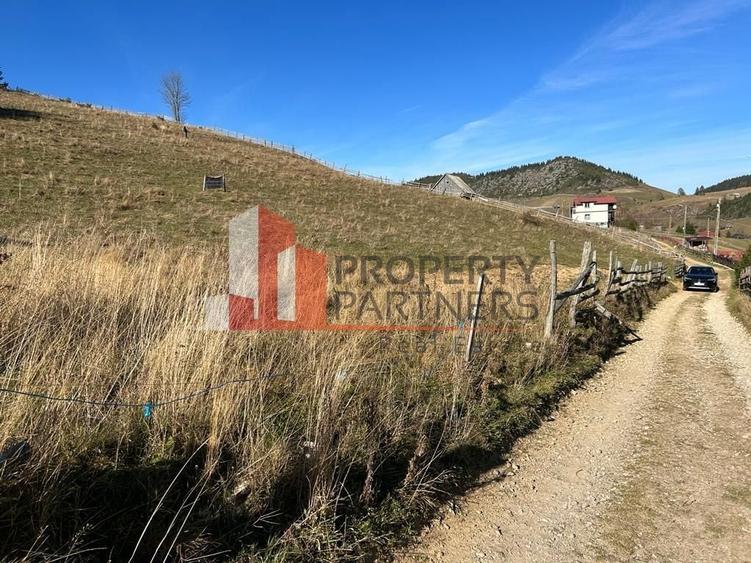 Teren Fundatica intravilan 4500 mp - 16