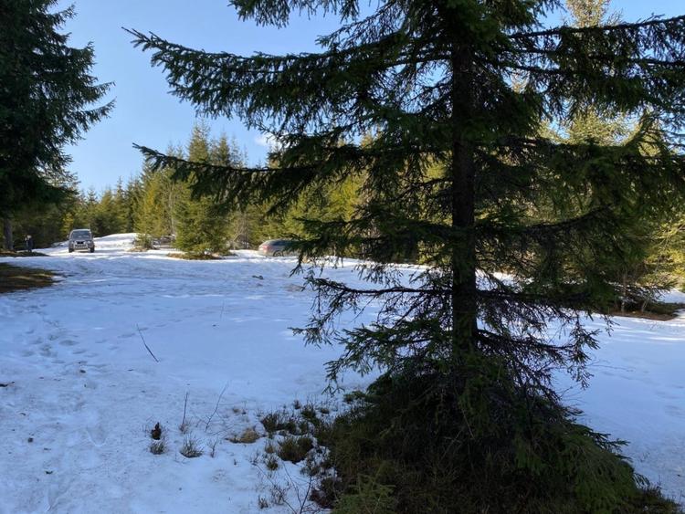 Teren 5000 mp in Baisoara, langa pensiunea Skiland si cabana Merlin! - 4