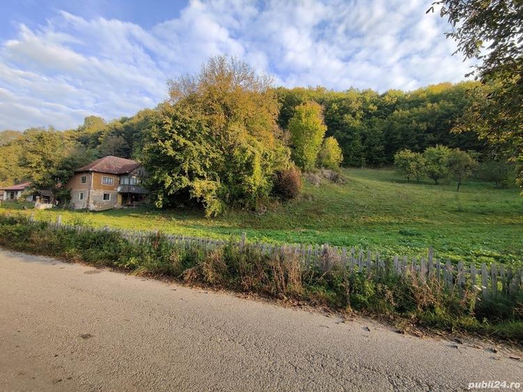 Casa de vanzare cu gradina teren de aprox 7000 mp,6.5 euro mp - 5