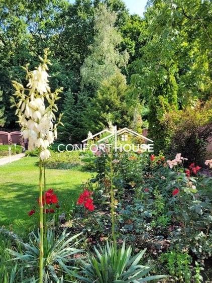 VILA D+P+E+M, 12 camere, piscina , padure, IANCU NICOLAE - 8