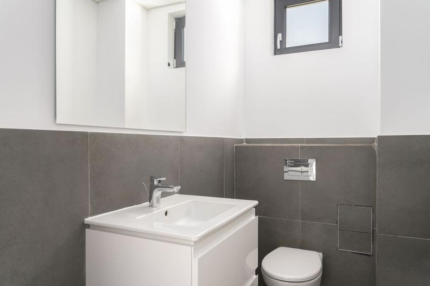 De inchiriat Depozit Nou, Preț Record- Chitila, Rudeni - 8