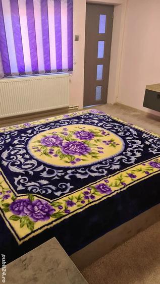 Casa de vanzare Brestei Craiova - 7