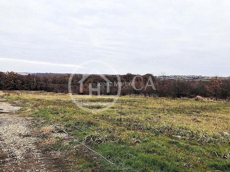 Teren intravilan de vanzare in Saldabagiu de Munte, Oradea