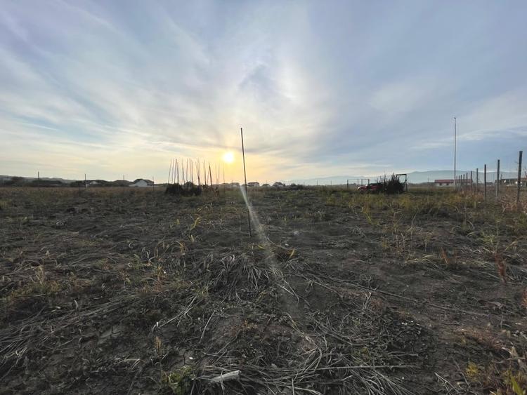 Teren intravilan de vânzare | 800mp | Ciugud - 1