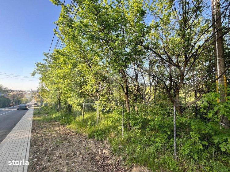 Teren intravilan ,cu vegetatie, 2700 mp, zona Siret - 3