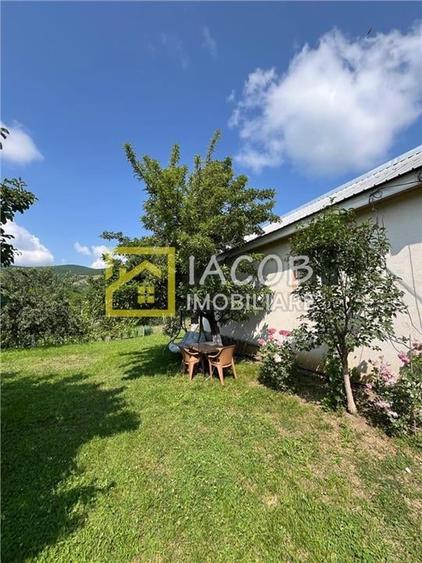 Casa cu 1690 mp teren, vie pe rod, comuna Sarata, jud. Bacau - 12