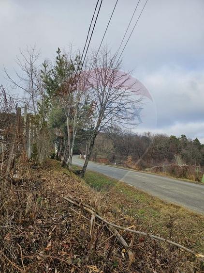 DE VANZARE TEREN INTRAVILAN CISNADIOARA Str. SIBIULUI DJ 106D - 12