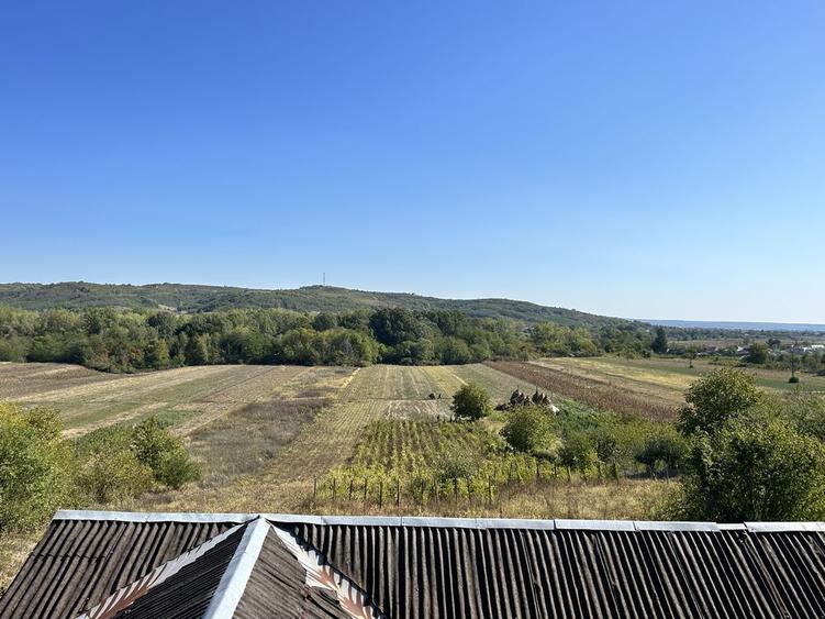 Casa P+M cu 3650 mp teren cu toate utilitatile - 7