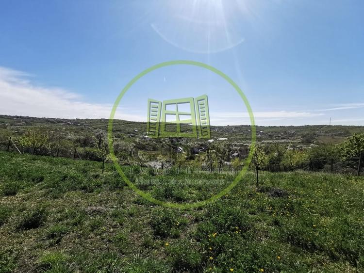 Teren intravilan si extravilan cu anexa gospodareasca amenajata, cu utilitati - 8