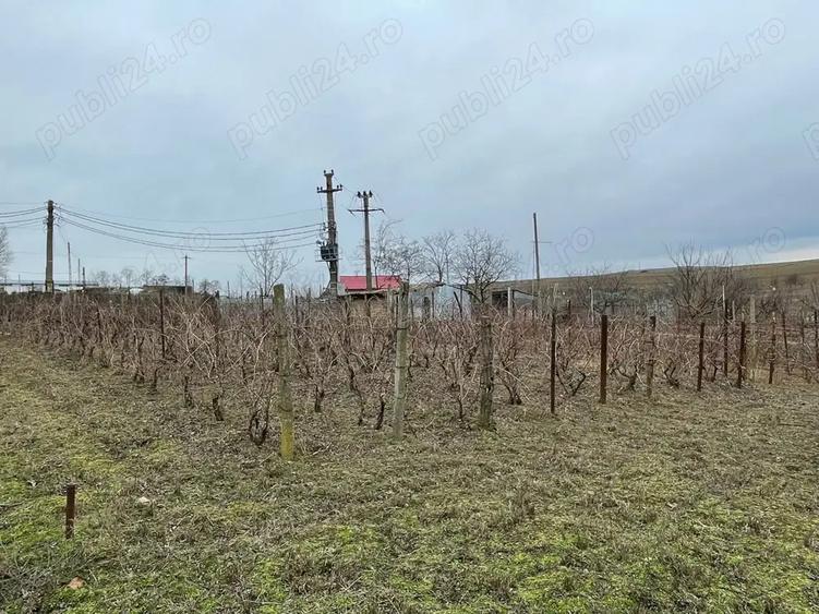 Vand casa com. Nufaru - 4