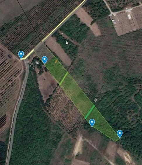 Teren 1 ha terasat, la Saldabagiu de Munte - 4