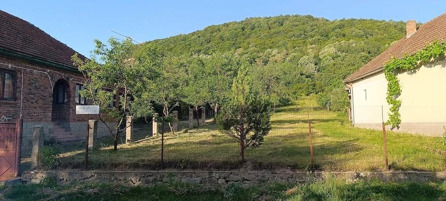 Vand casa, PROPRIETAR!!! - 3