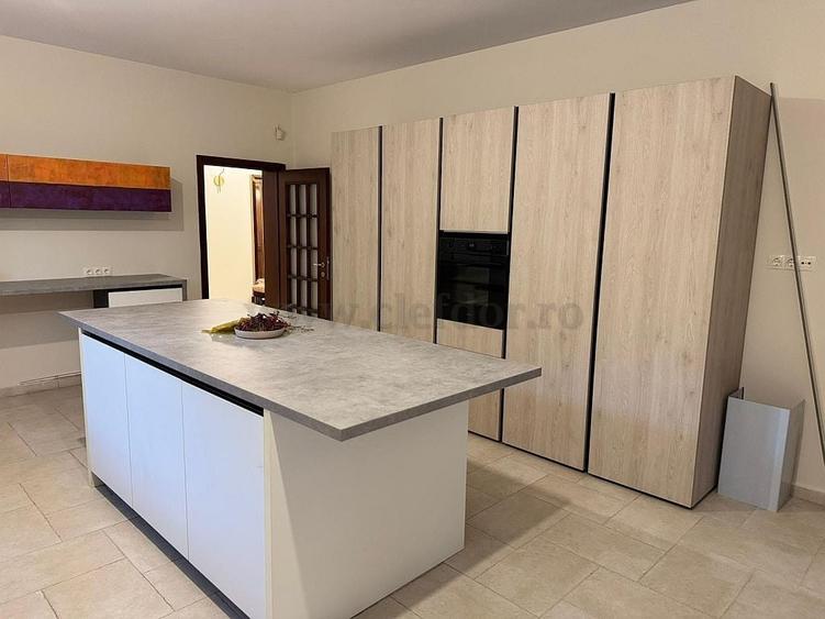 Iancu Nicolae - Vila individuala RENOVATA langa padure - 8