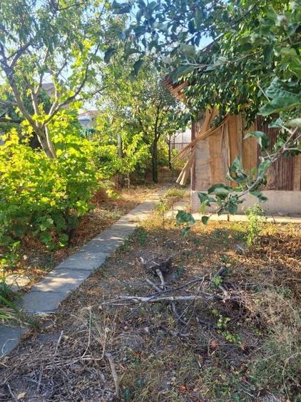 TEREN 510 MP ZONA PALAZU MARE - 10