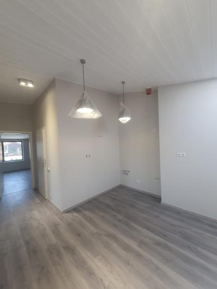 Domenii, casa D+P+1+M la prima închiriere - 14