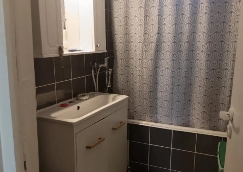 Cosbuc, spatiu comercial, 50mp - 4