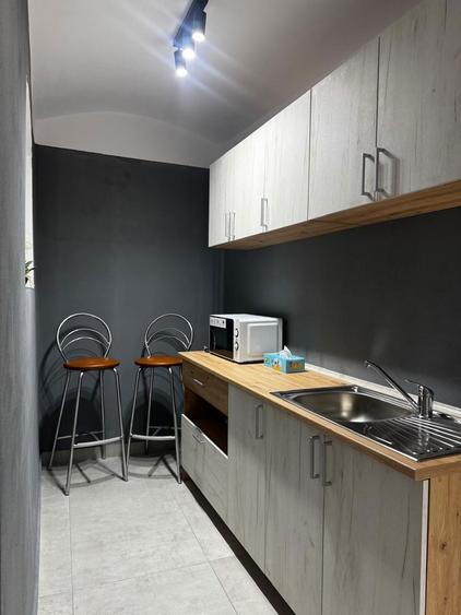 Ofer spre inchiriere spatiu cental,demisol - 5