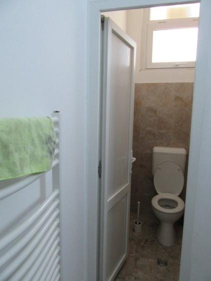 Inchiriere Spatiu Comercial Teiul Doamnei - 39