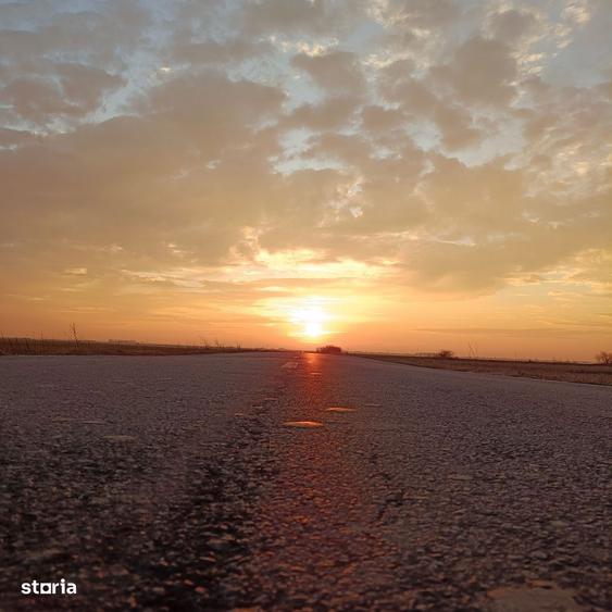 Ocazie dezvoltare - teren 8 parcele - zona premium natura(Frumusani) - 4