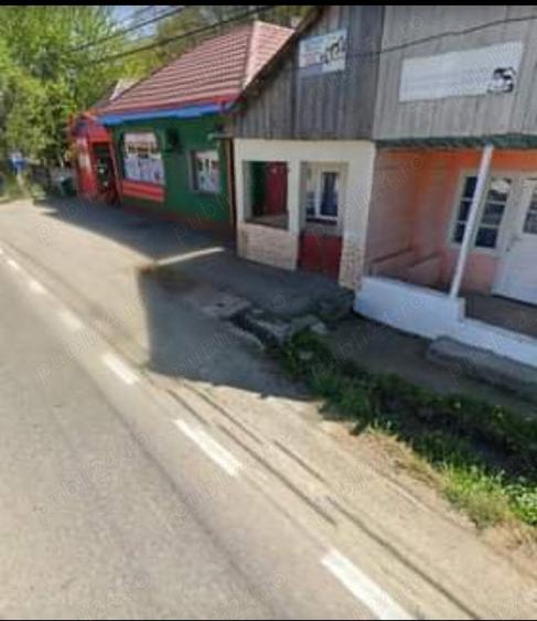 Casa batraneasca 15000 euro - 1