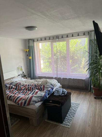 Casa la munte urgent - 4