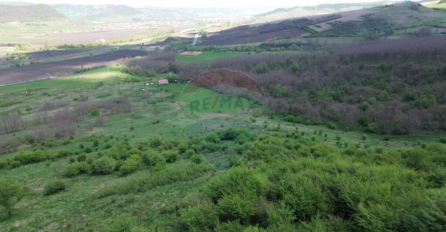 Domeniu - 66 Hectare - Teren deosebit Copsa Mica cu desch... - 1