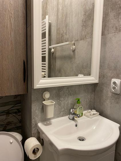 Garsoniera de inchiriat Chiajna Bloc Nou - 6