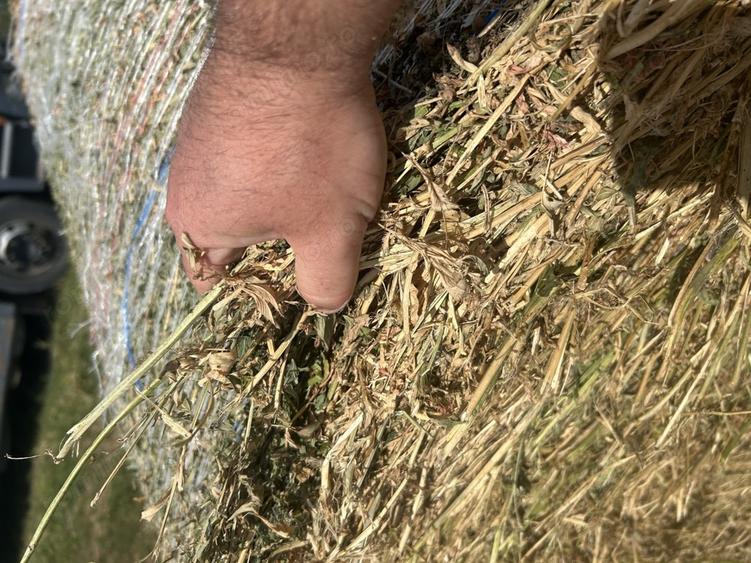 Preiau teren in arenda - 1