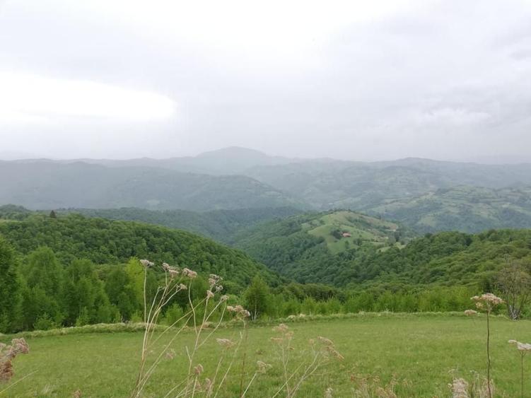 Proprietar vand teren extravilan 2ha, PANORAMA SUPER, Poiana Marului - 5