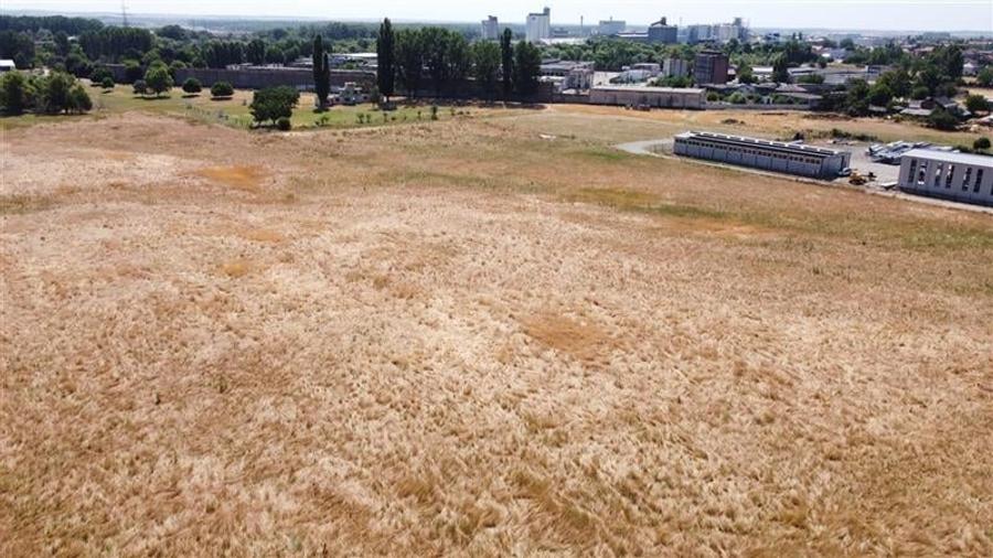 Teren industrial in Podari - 0% COMISION - 4