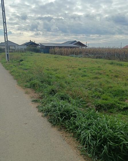 Mocira, 8 ari teren - 1