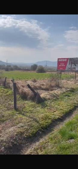 Teren intravilan cu intrare din DN17 - 7