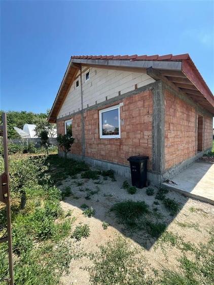 RECO Casa la rosu, la iesire din Les, langa padure - 10