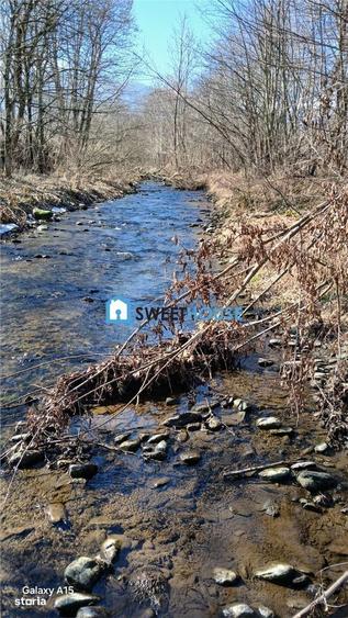 Teren de vanzare la satul de vacanta Dejani - 1