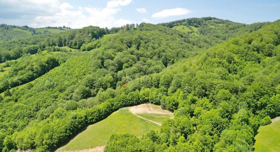 Teren extravilan Via Transilvanica - 9