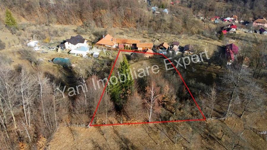 Teren de vanzare in comuna Cicane?ti, sat Cicane?ti, Jude? Arge?. - 16