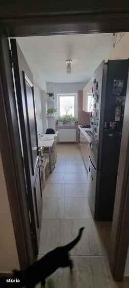 Apartament 2 Camere Drumul Dealu Cucului - 2