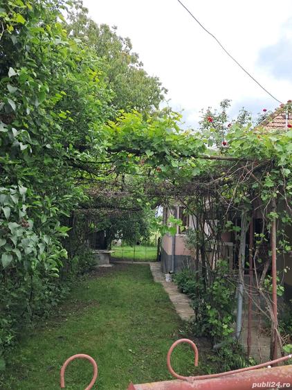 Casa si teren - 5