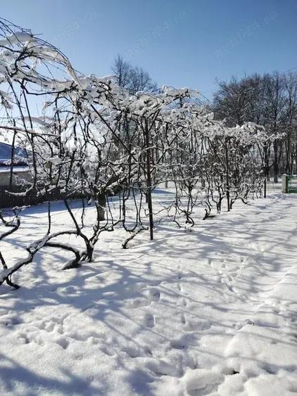 Casa de vanzare in Caline?ti, jud Boto?ani - 5800 mp teren - 2