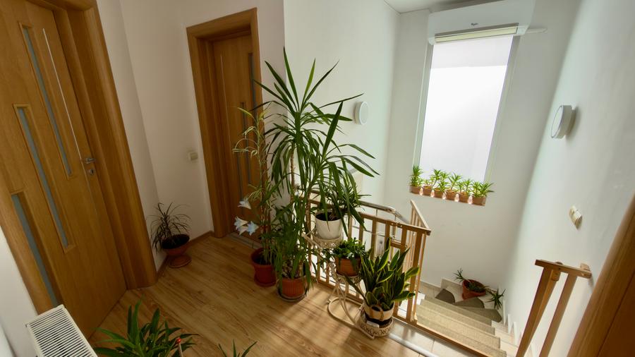 Vanzare vila individuala Domnesti, la cheie ! - 36