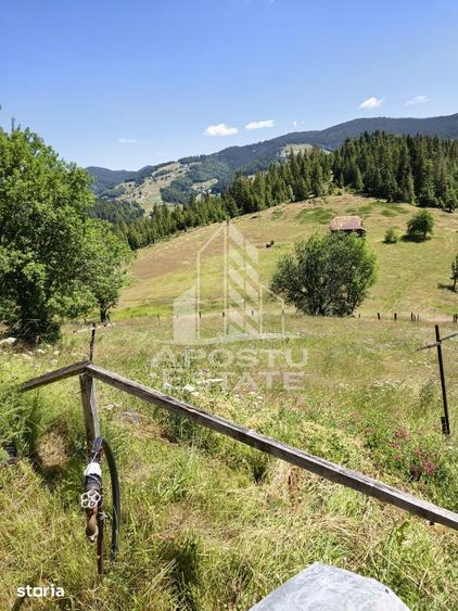Casă cu 7 camere cu Teren 1000 Mp în Alba