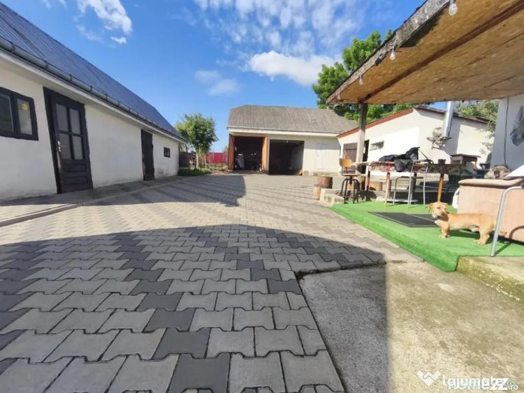 Casă cu 4 camere cu Teren 6000 Mp în Negostina