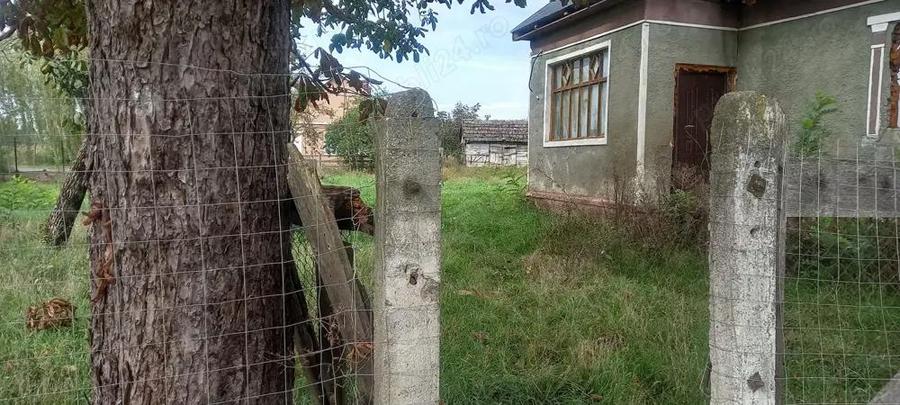 Casa de vanzare ieftin Satu Mare - 1