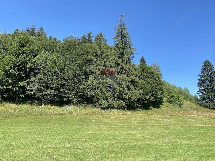 Teren de 4306 mp, în Vama Buzăului