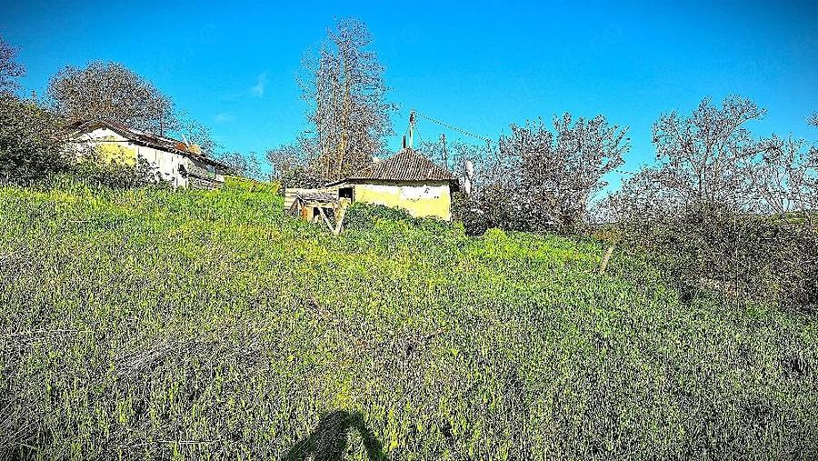 Casă cu Teren 1800 Mp în Cristești